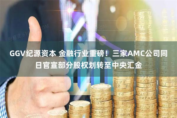 GGV纪源资本 金融行业重磅！三家AMC公司同日官宣部分股权划转至中央汇金