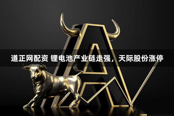 道正网配资 锂电池产业链走强，天际股份涨停