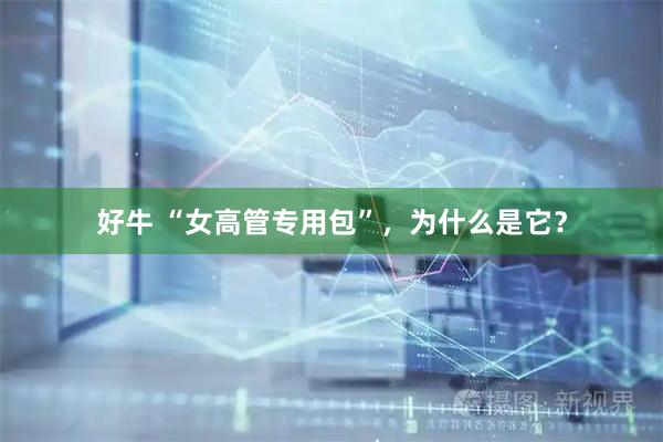 好牛 “女高管专用包”，为什么是它？