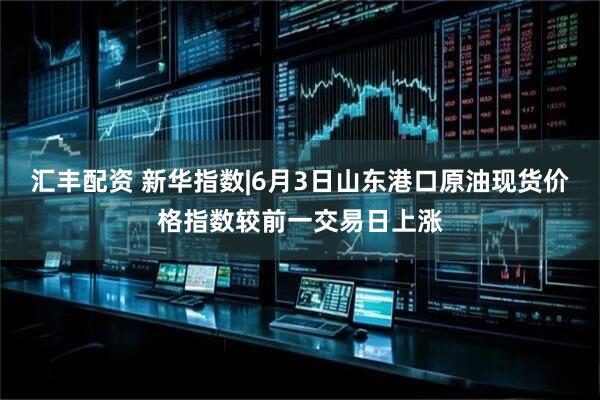 汇丰配资 新华指数|6月3日山东港口原油现货价格指数较前一交易日上涨