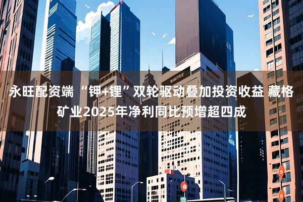 永旺配资端 “钾+锂”双轮驱动叠加投资收益 藏格矿业2025年净利同比预增超四成