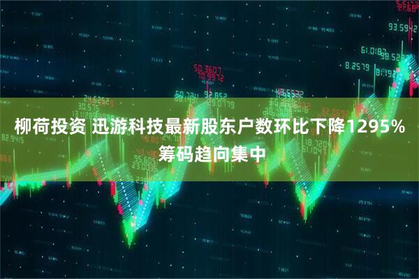 柳荷投资 迅游科技最新股东户数环比下降1295% 筹码趋向集中