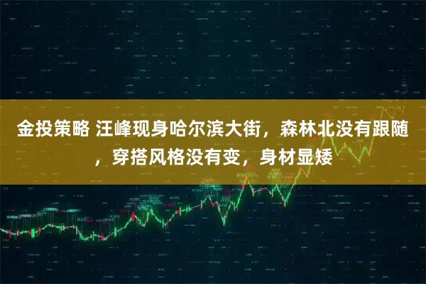 金投策略 汪峰现身哈尔滨大街，森林北没有跟随，穿搭风格没有变，身材显矮